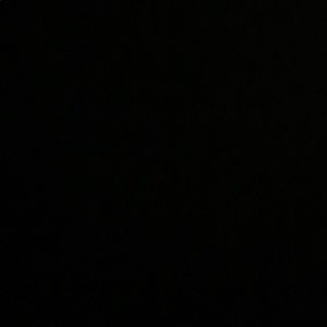 Meet your Posher, Kyreese